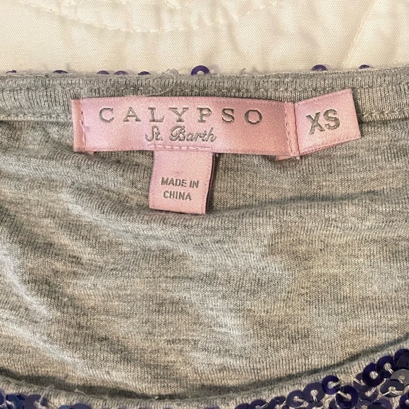 CALYPSO St BARTH  Y2K Sequin Bruni Tee Purple Size XS Short Sleeve Top - Picture 11 of 12